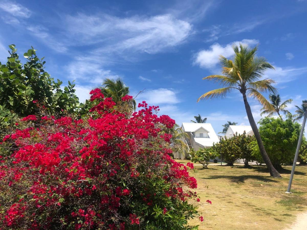 Sweet Home Sxm Baie Nettle Pieds Dans L'Eau Sandy Ground Exterior foto