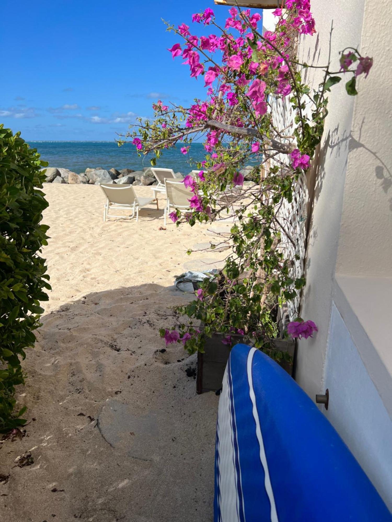 Sweet Home Sxm Baie Nettle Pieds Dans L'Eau Sandy Ground Exterior foto